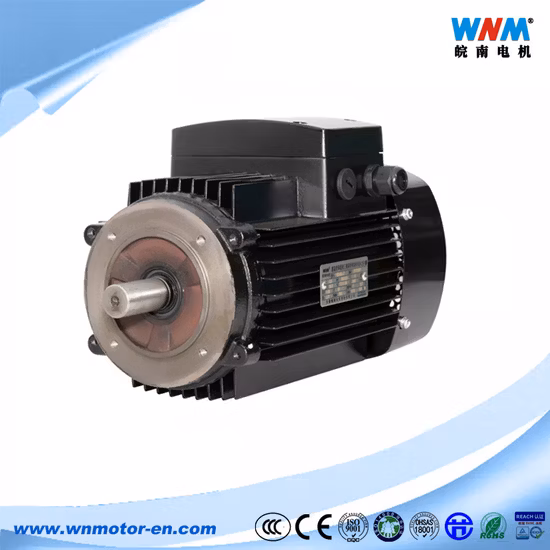 Yvf Frequency Variable Three Phase AC Electric Motor VFD Inverted Duty Squirrel Cage Induction Motors 5-50Hz 45kw