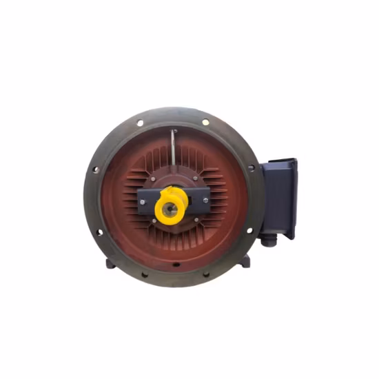 Ie3 Premium Efficiency Electric Motor